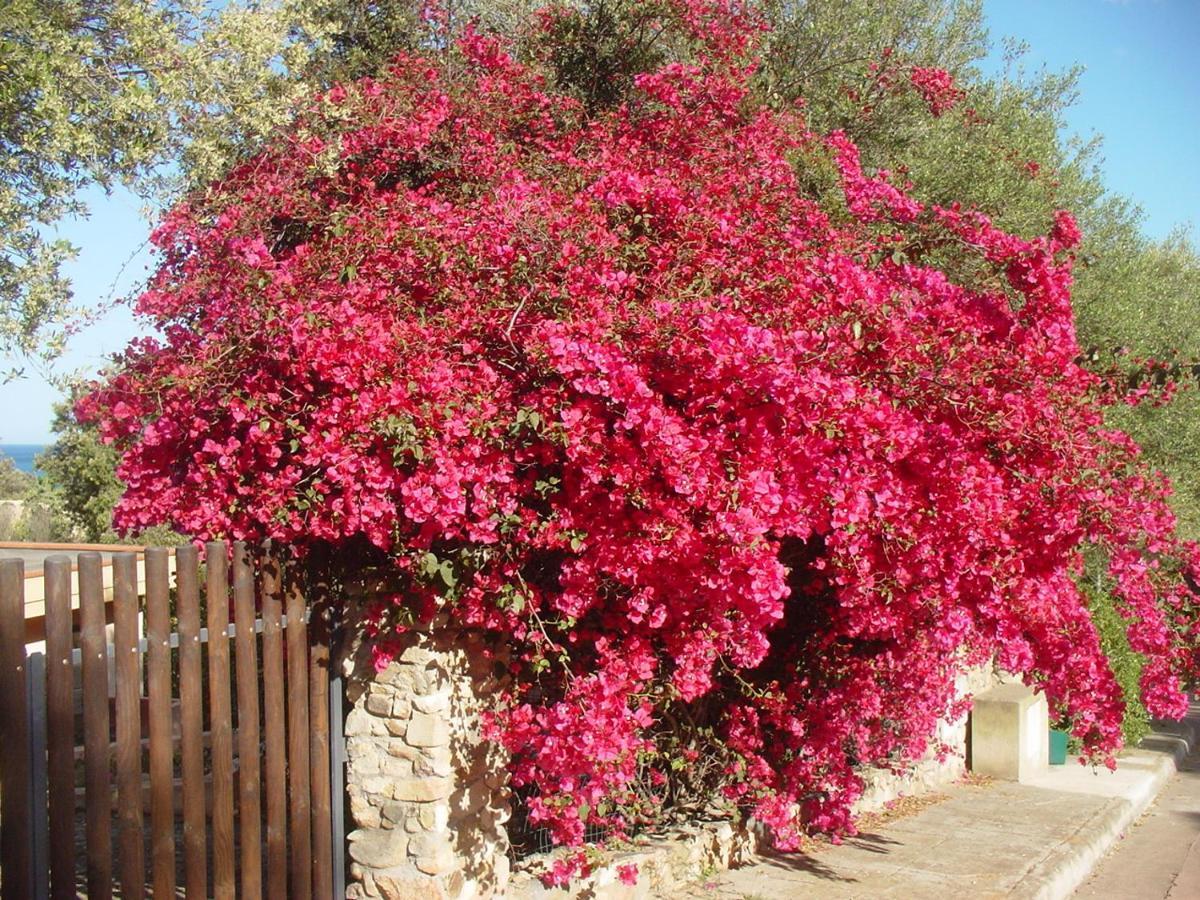 Casa A 300Mt.Dal Mare Calasinzias, 6 Letti, Ac, Pets Welcome, Wi-Fi Free Cala Sinzias Exterior photo